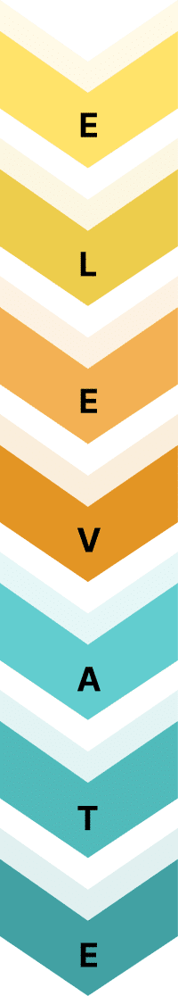 Elevate Ai
